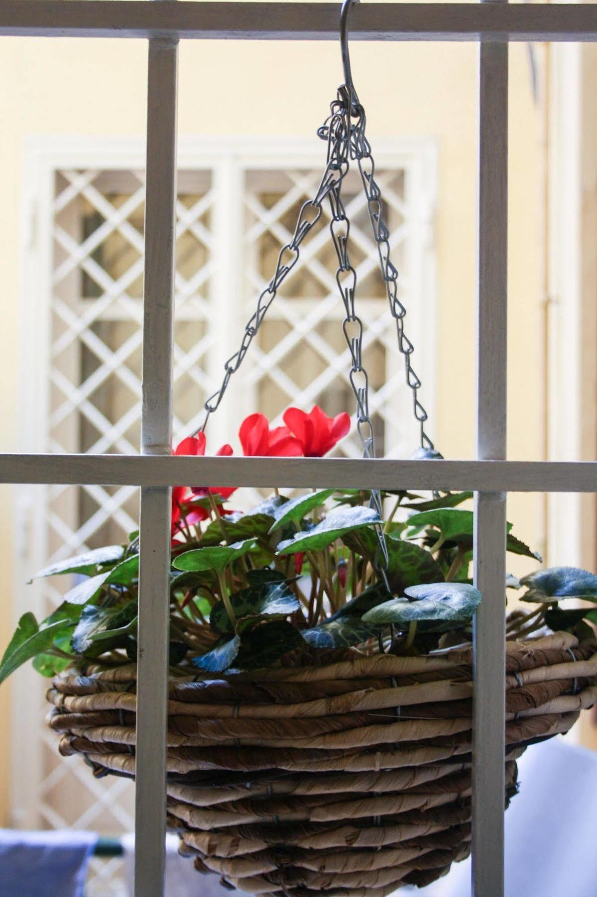 Salotto Vaticano B&B Ρώμη Εξωτερικό φωτογραφία